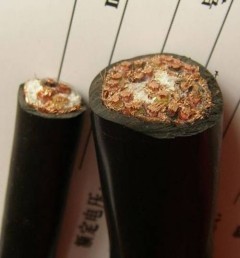 DCSϵ�yӋ��C��|